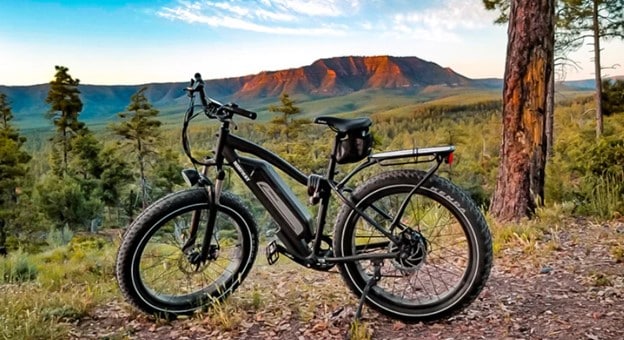 Best Fat Tire Electric Bike