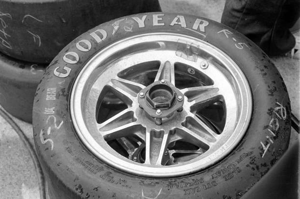 Goodyear Reliant All-Season Tire