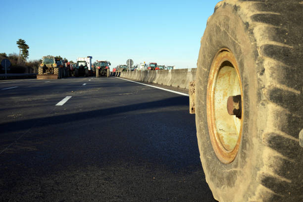 tire on road