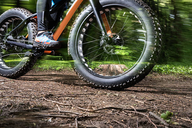 fat tires bike on jungle