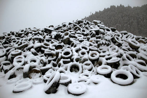 many dispose tires