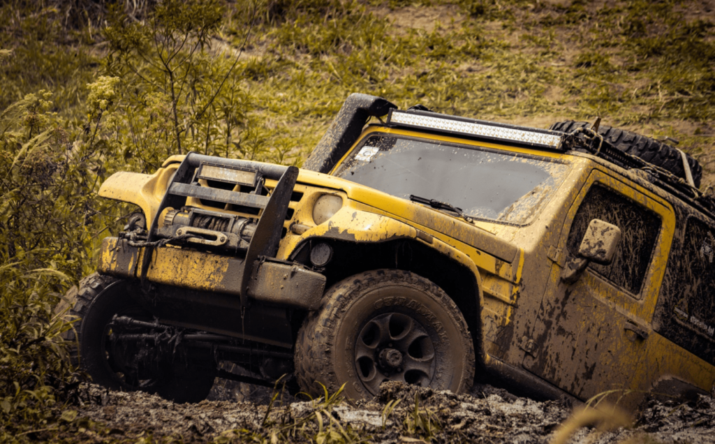 jeep car in forest