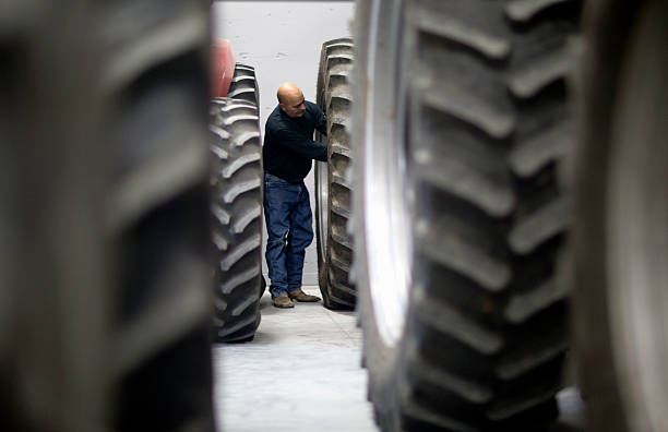 Framed by tractor tires